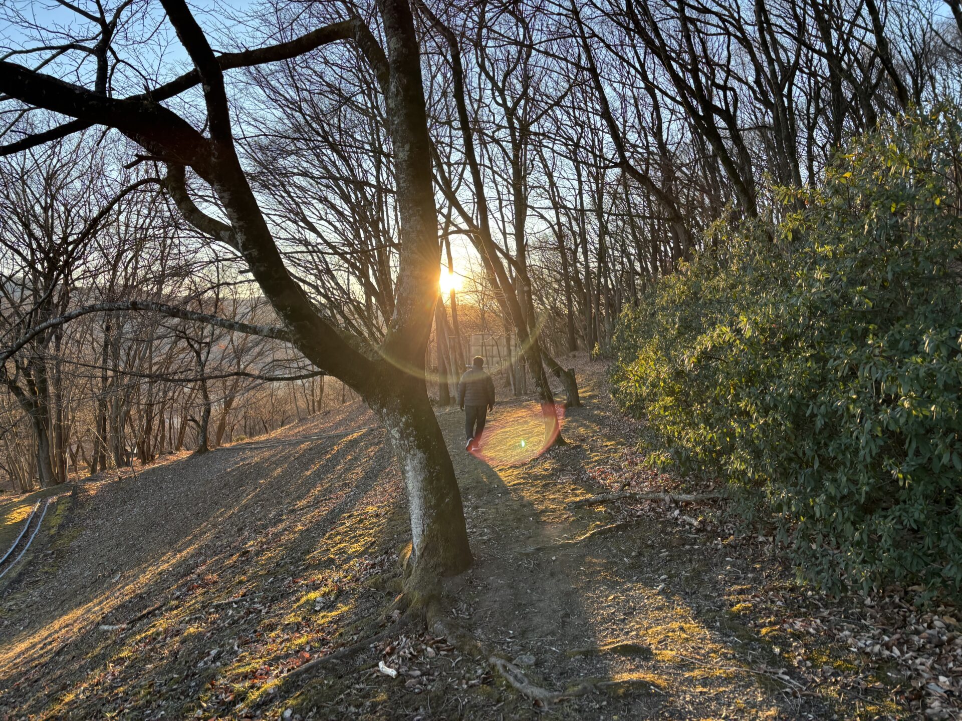 My Tokyo Marathon is…？ 日々を豊かにしてくれるもの